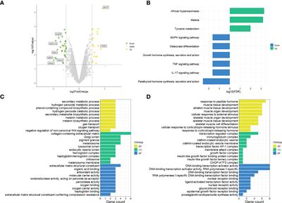 Expression profiling suggests the involvement of hormone-related, metabolic, and Wnt signaling pathways in pterygium progression